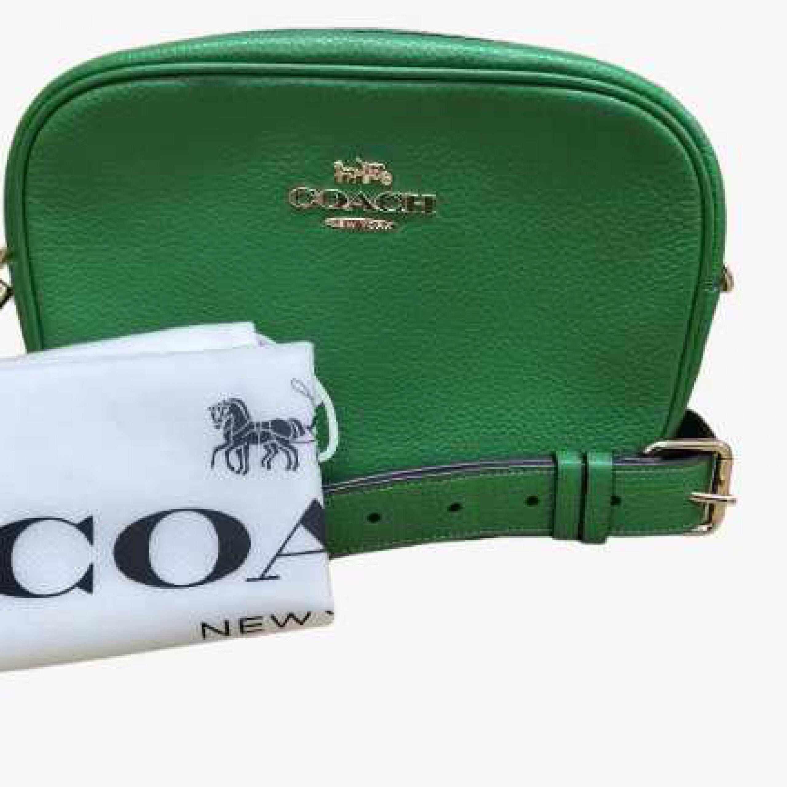COACH Green Leather Crossbody Camera Bag