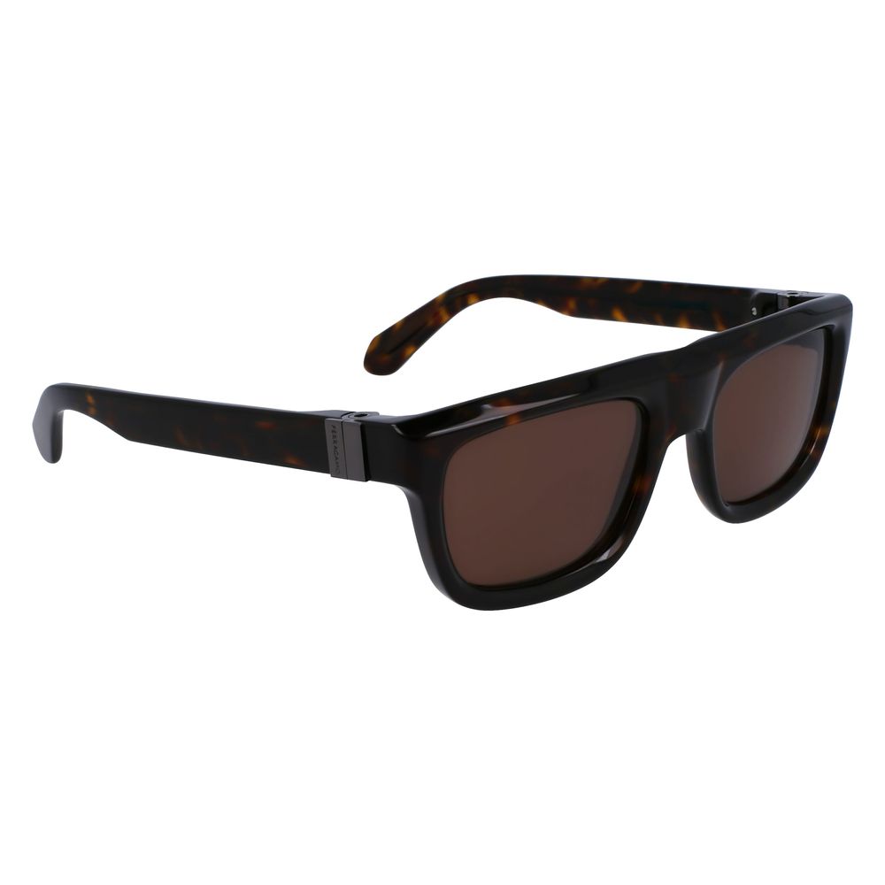 Ferragamo Brown Acetate Sunglasses – Timeless Luxury Accessory