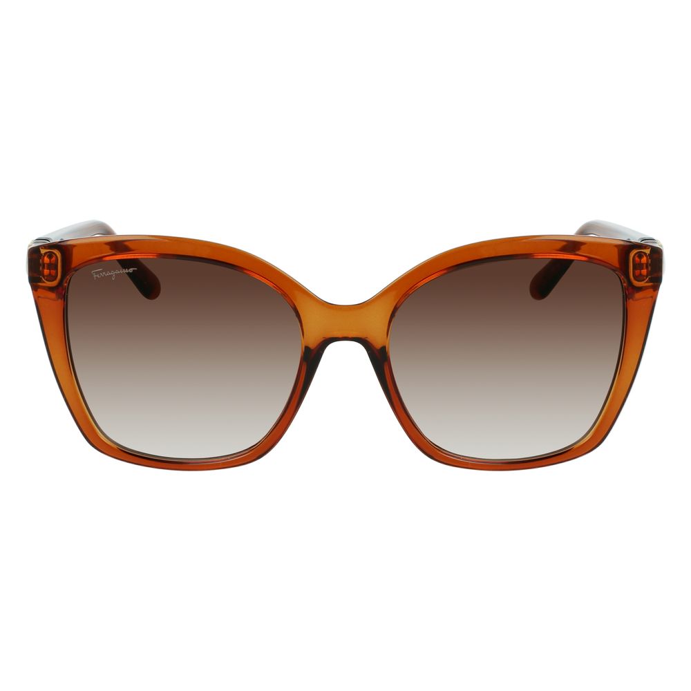 Ferragamo Brown Injected Sunglasses