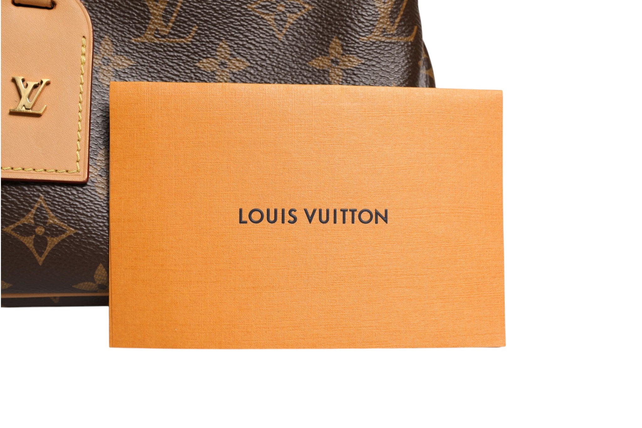 Louis Vuitton Odeon PM Crossbody Bag - Artisanal Luxury