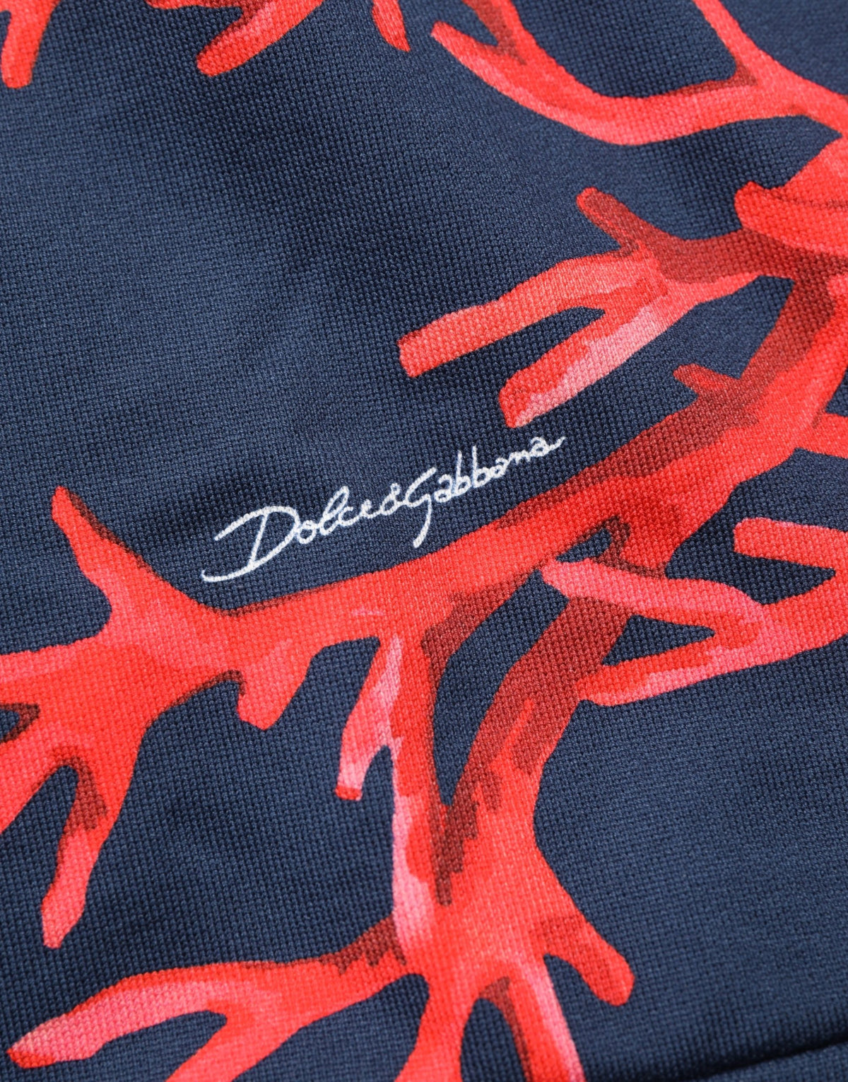 Dolce & Gabbana Blue Cotton Coral Logo Hoodie - Timeless Luxury