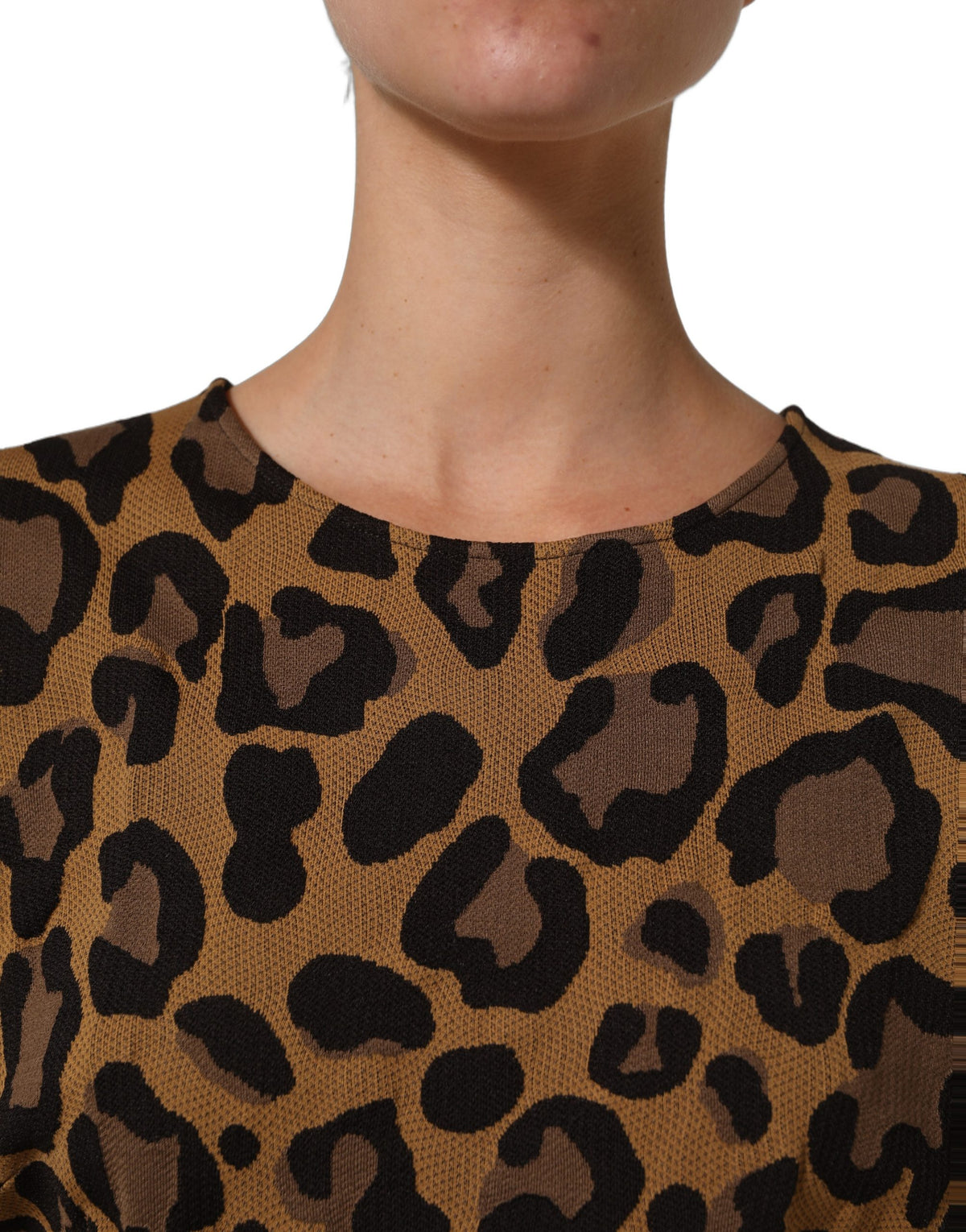 Dolce & Gabbana Brown Leopard Print Flared A-line Mini Dress