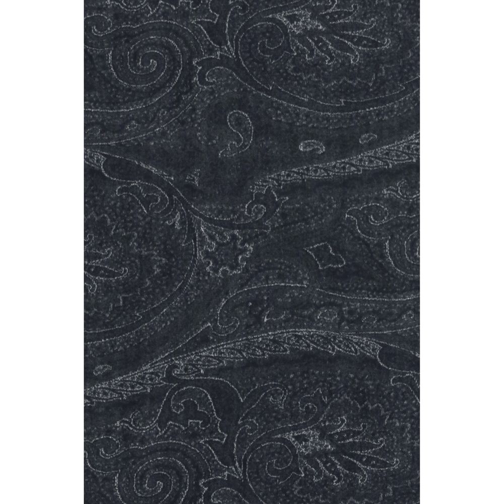 Indulge in the Etro Black Modal Scarf from the AW26 collection, a luxurious blend of modal and Kashmir, showcasing exquisite paisley artistry for timeless elegance.
