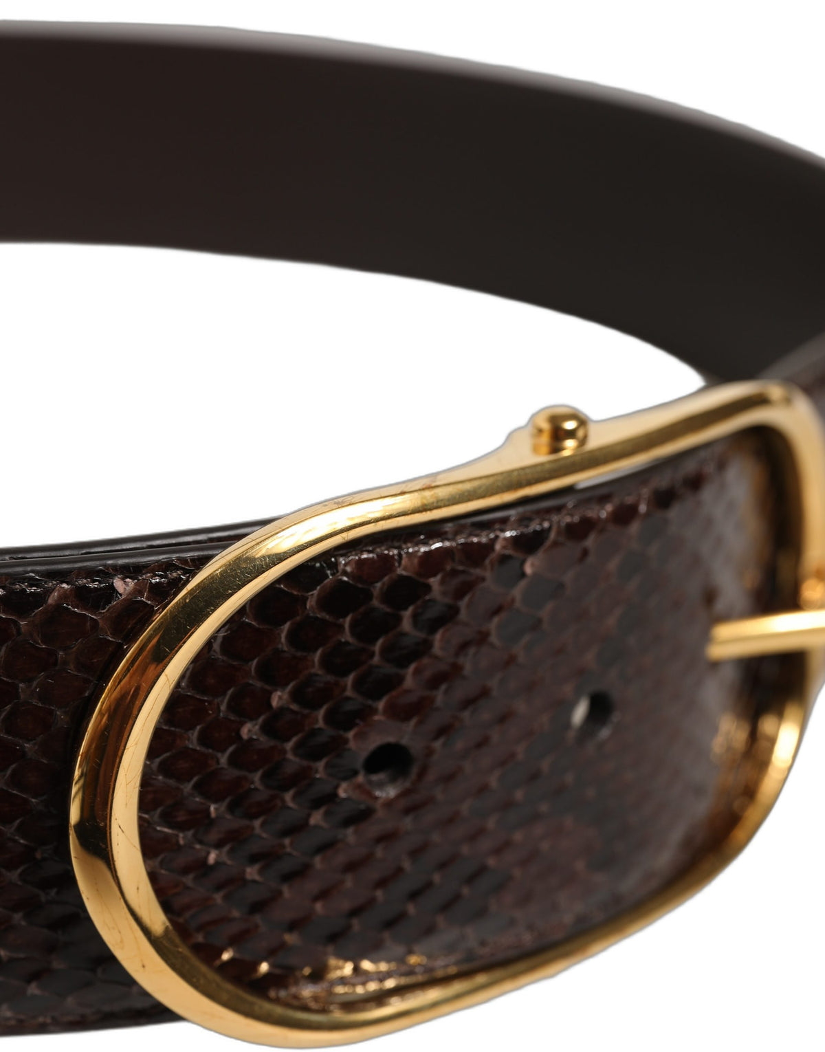 Elevate your style with the Dolce & Gabbana Brown Python Leather Gold Metal Buckle Belt, a luxurious statement piece that embodies exquisite craftsmanship and timeless elegance.