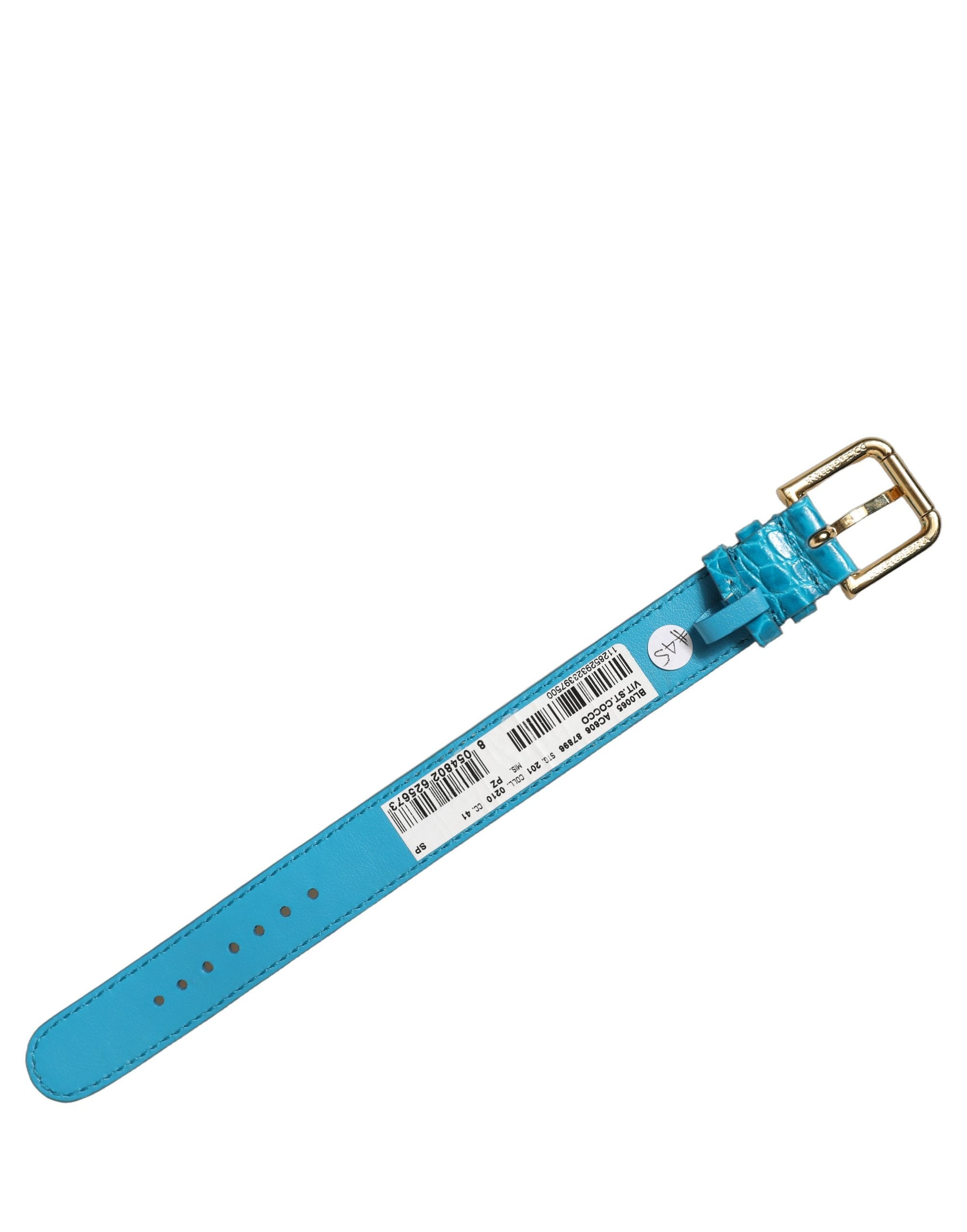 Dolce & Gabbana Blue Leather Gold Buckle Bracelet - Timeless Elegance