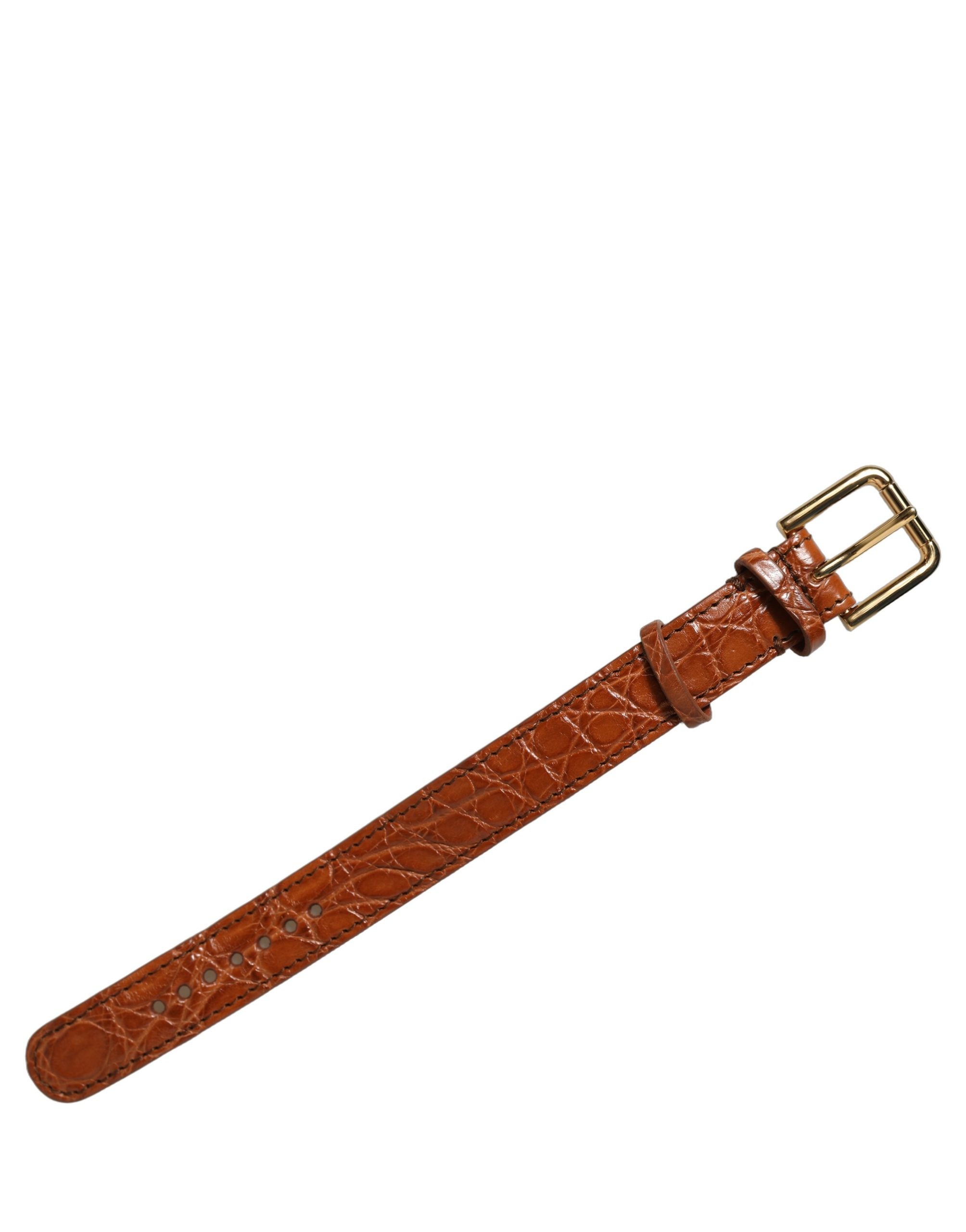 Dolce & Gabbana Brown Caiman Leather Gold Buckle Bracelet