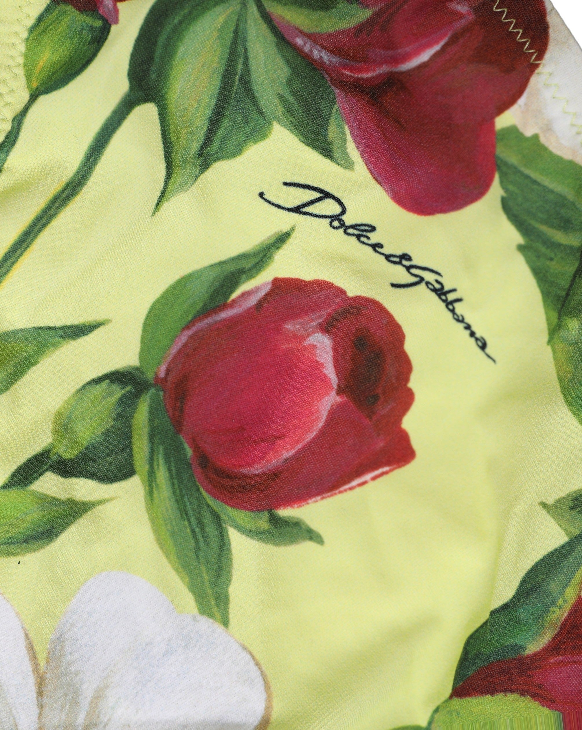 Dolce & Gabbana Floral Print Bikini Bottom - Luxury Swimwear
