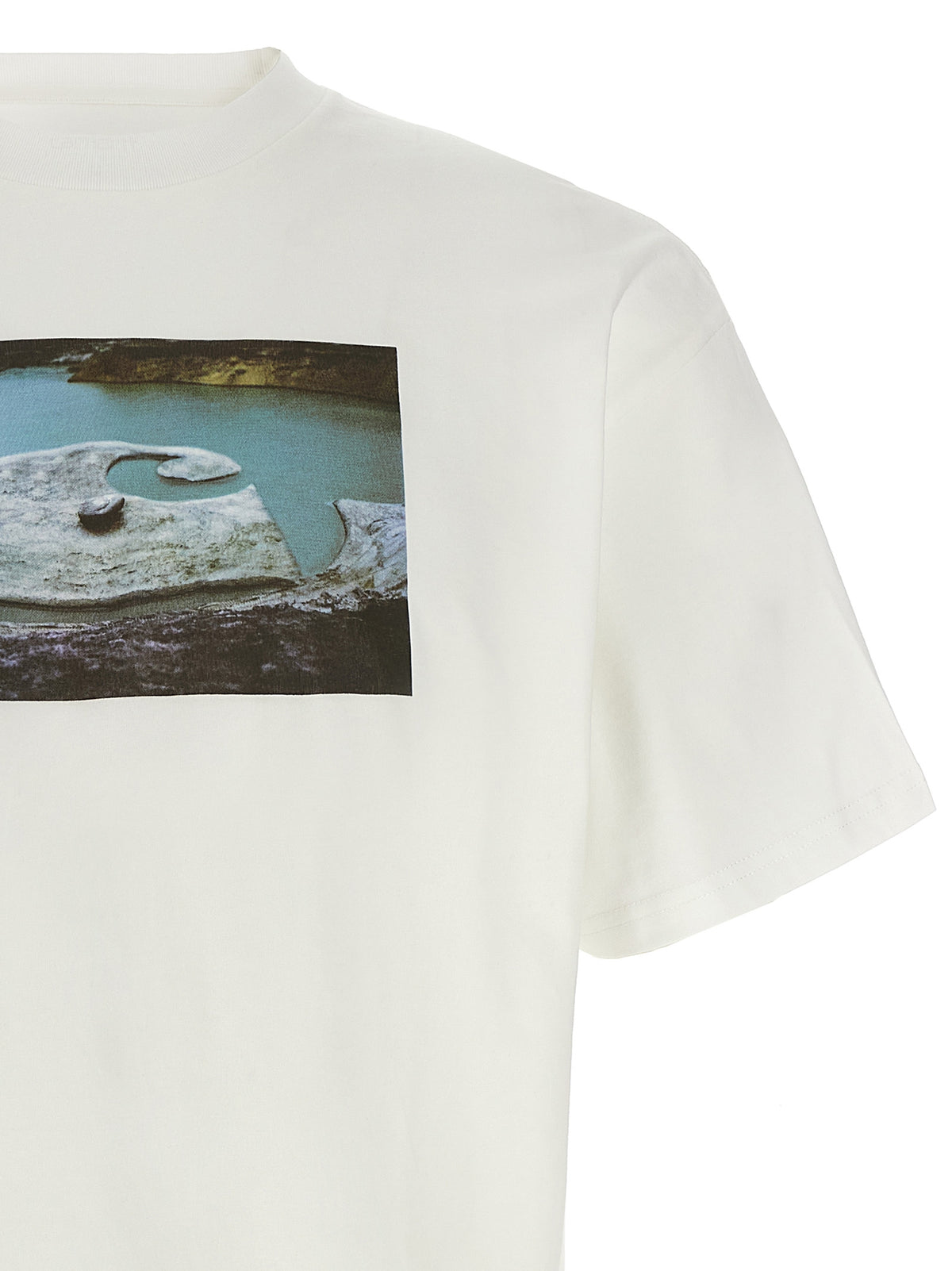 Carhartt WIP Organic Cotton T-Shirt - Timeless Eco-Chic Elegance