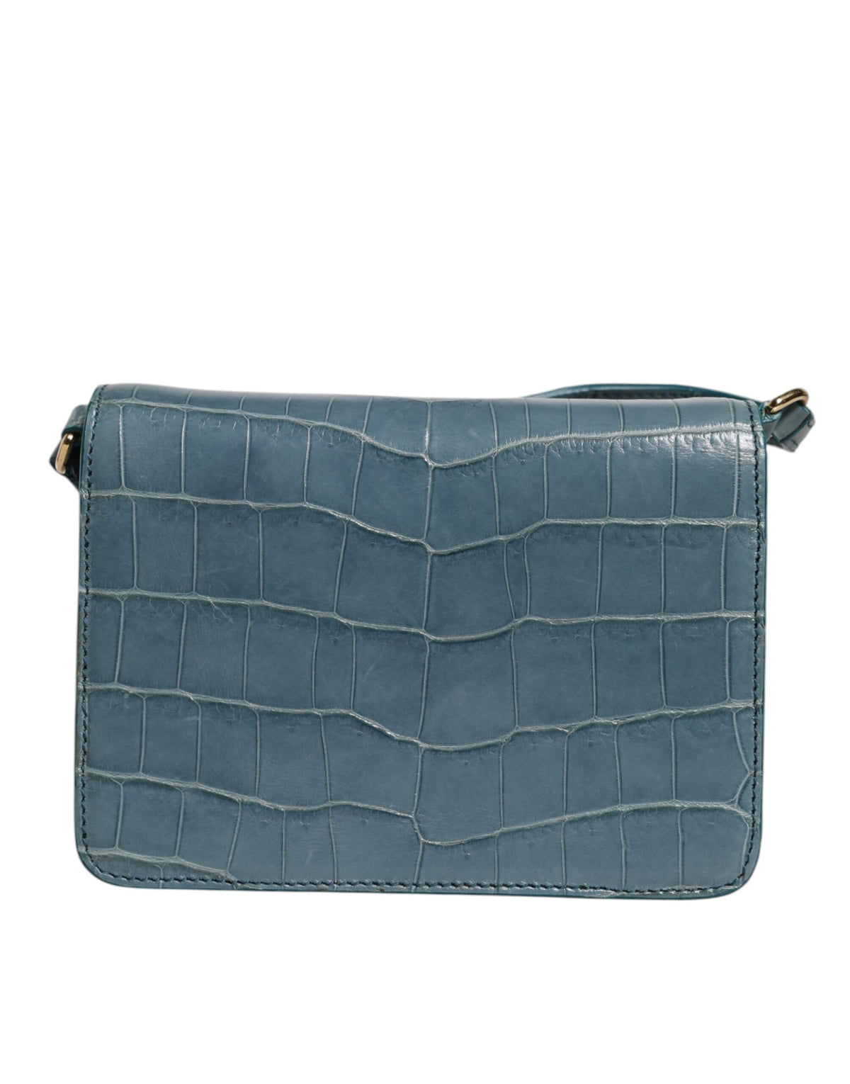 Discover the Dolce & Gabbana Green Exotic Leather DG Plaque Crossbody Mini Bag, a luxurious blend of crocodile and calf leather, epitomizing elegance and sophistication.