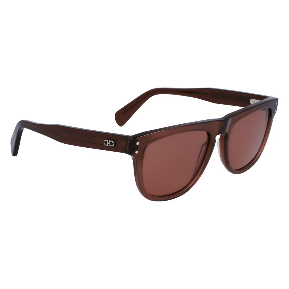 Ferragamo Brown Acetate Sunglasses