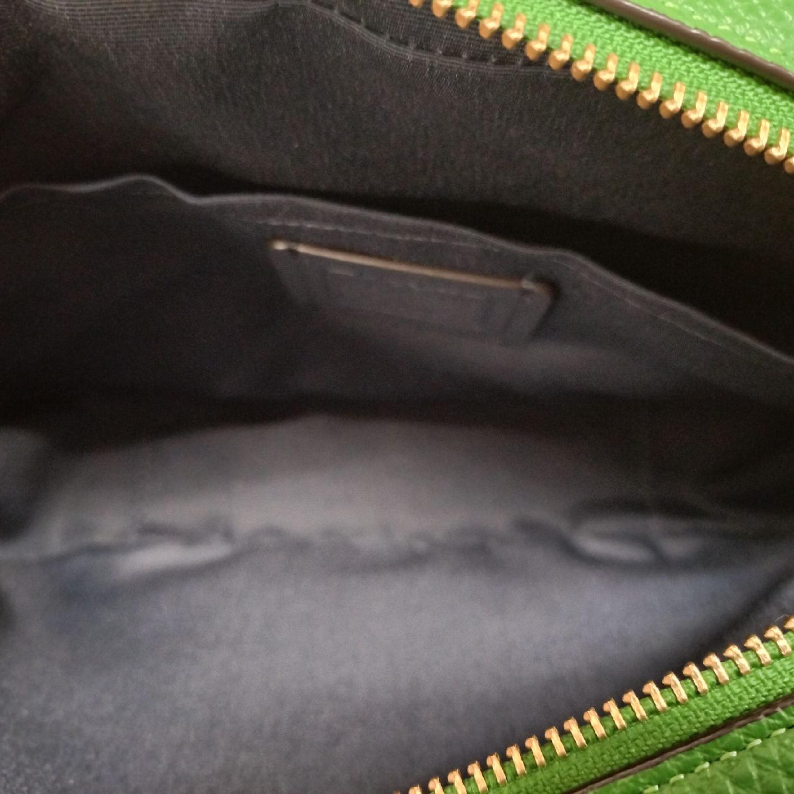 COACH Green Leather Crossbody Camera Bag