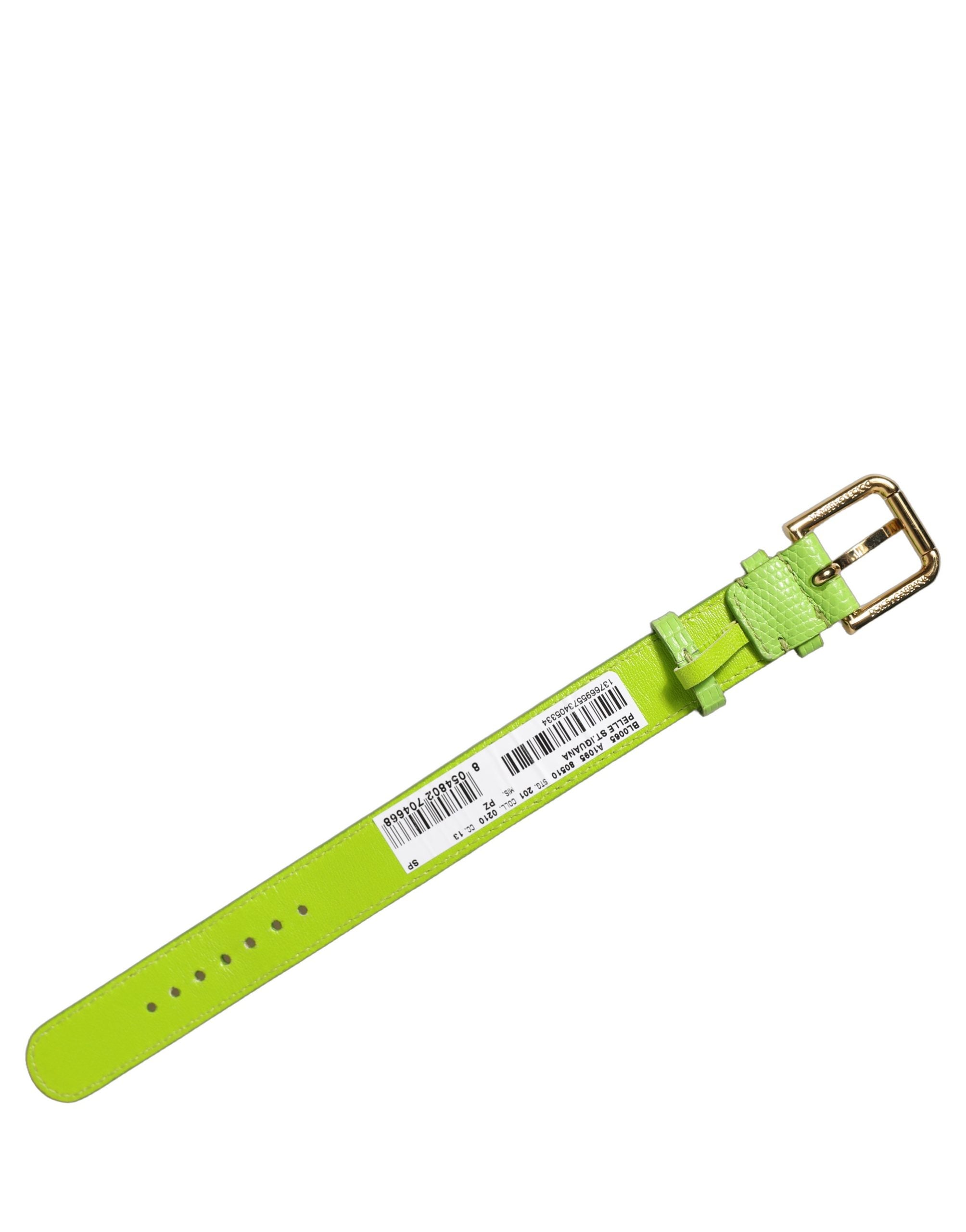 Dolce & Gabbana Green Textured Leather Bracelet - Timeless Luxury