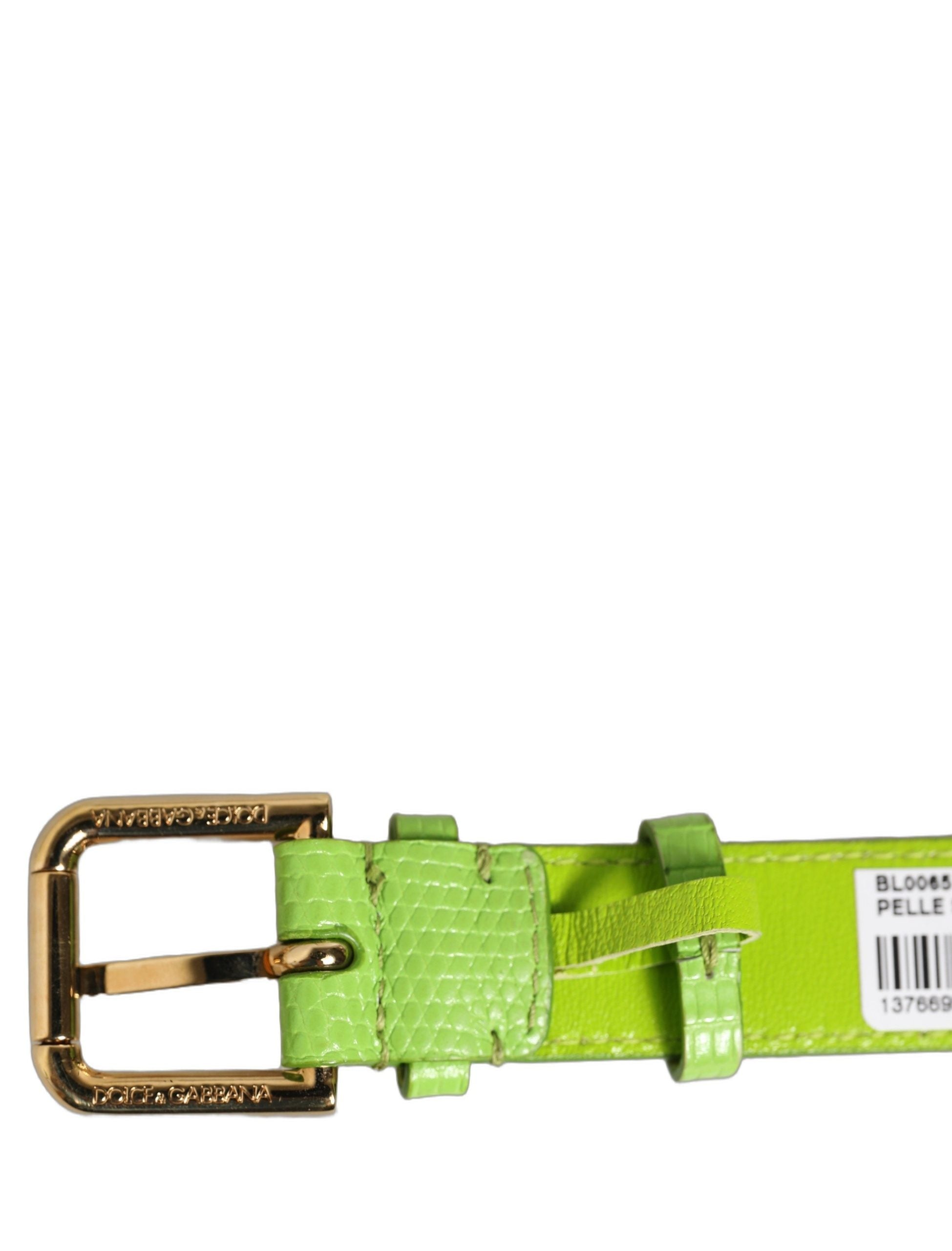 Dolce & Gabbana Green Textured Leather Gold Buckle Bracelet