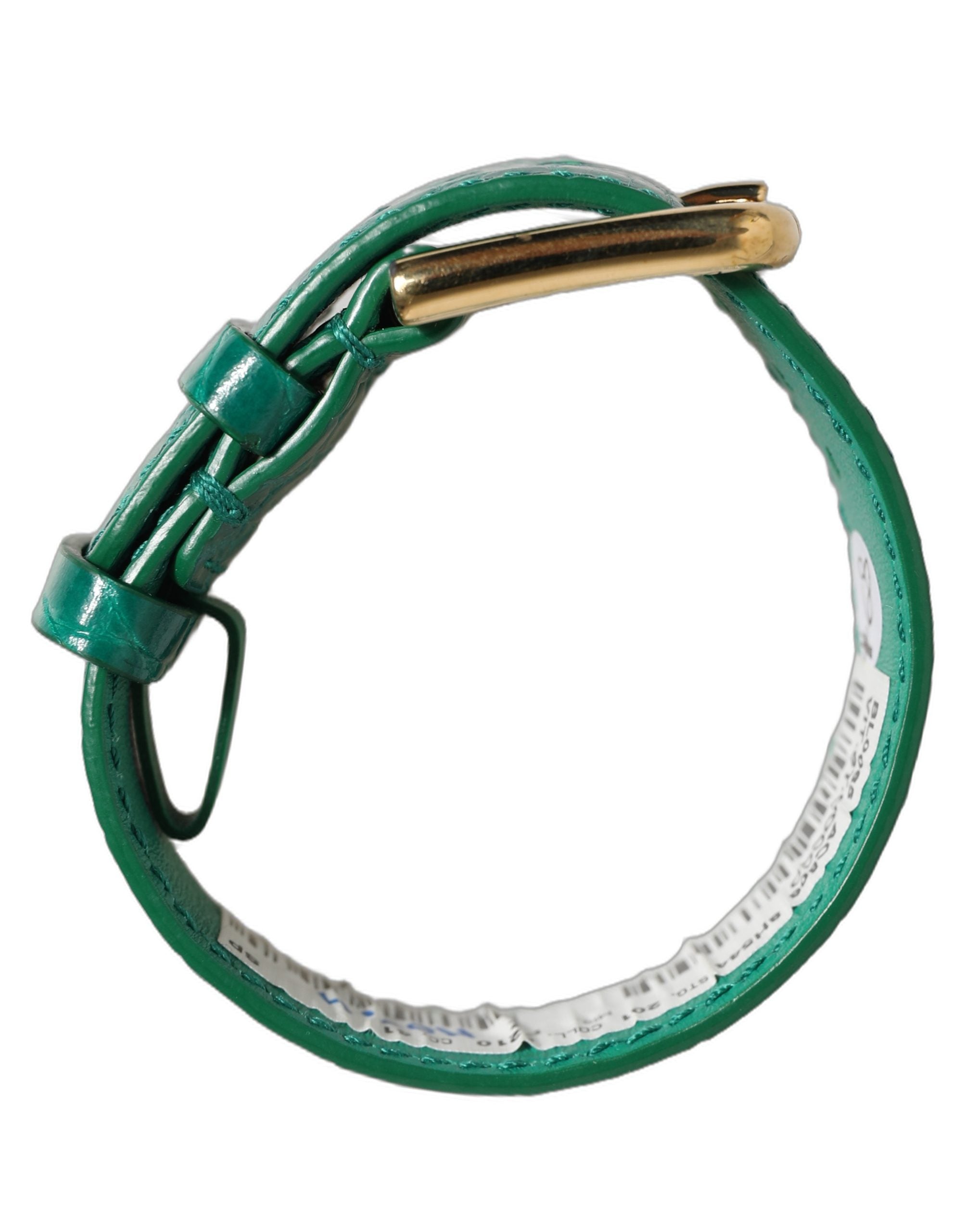 Dolce & Gabbana Green Embossed Leather Gold Buckle Bracelet