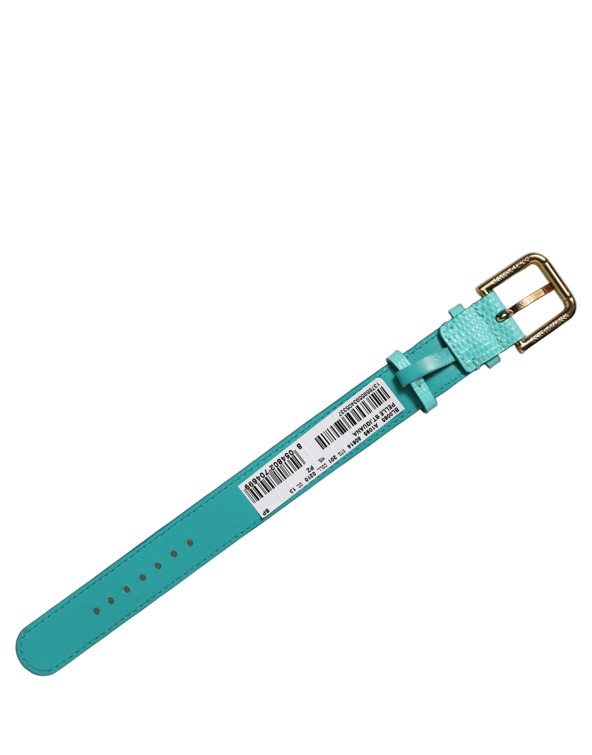 Dolce & Gabbana Blue Textured Leather Gold Buckle Bracelet