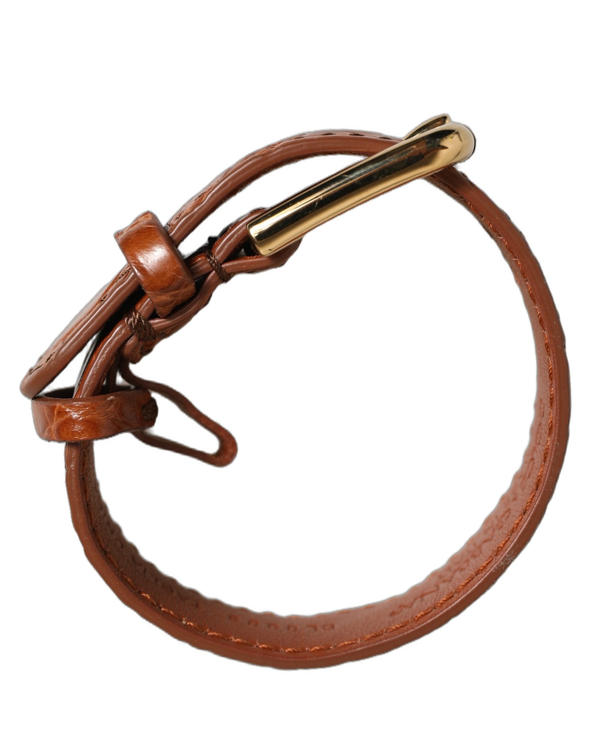 Dolce & Gabbana Brown Caiman Leather Gold Buckle Bracelet