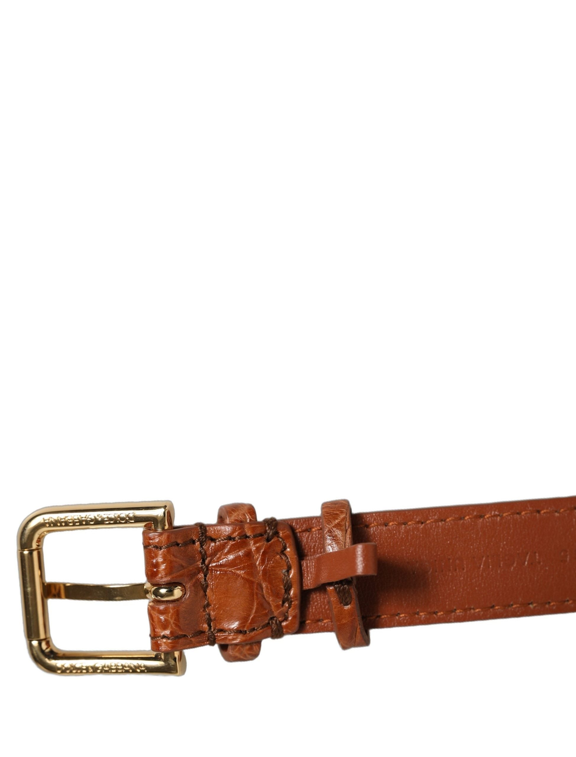 Dolce & Gabbana Brown Caiman Leather Gold Buckle Bracelet