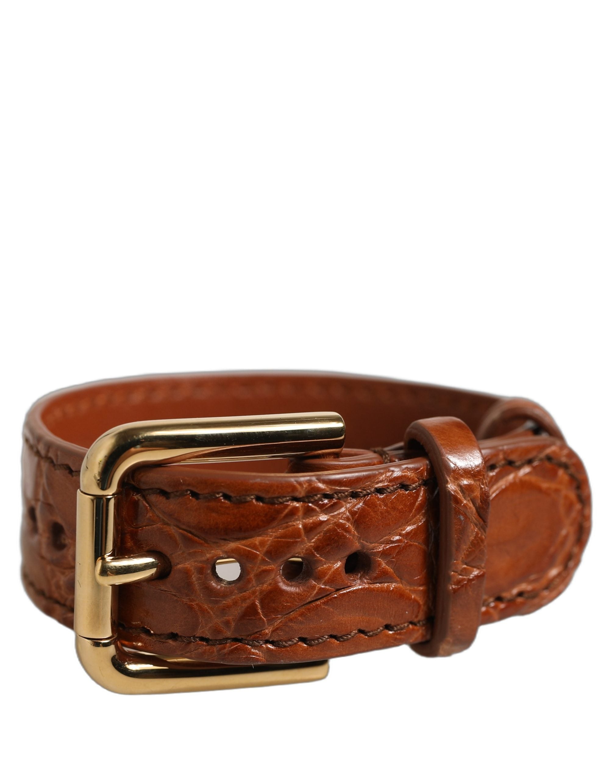 Dolce & Gabbana Brown Caiman Leather Gold Buckle Bracelet