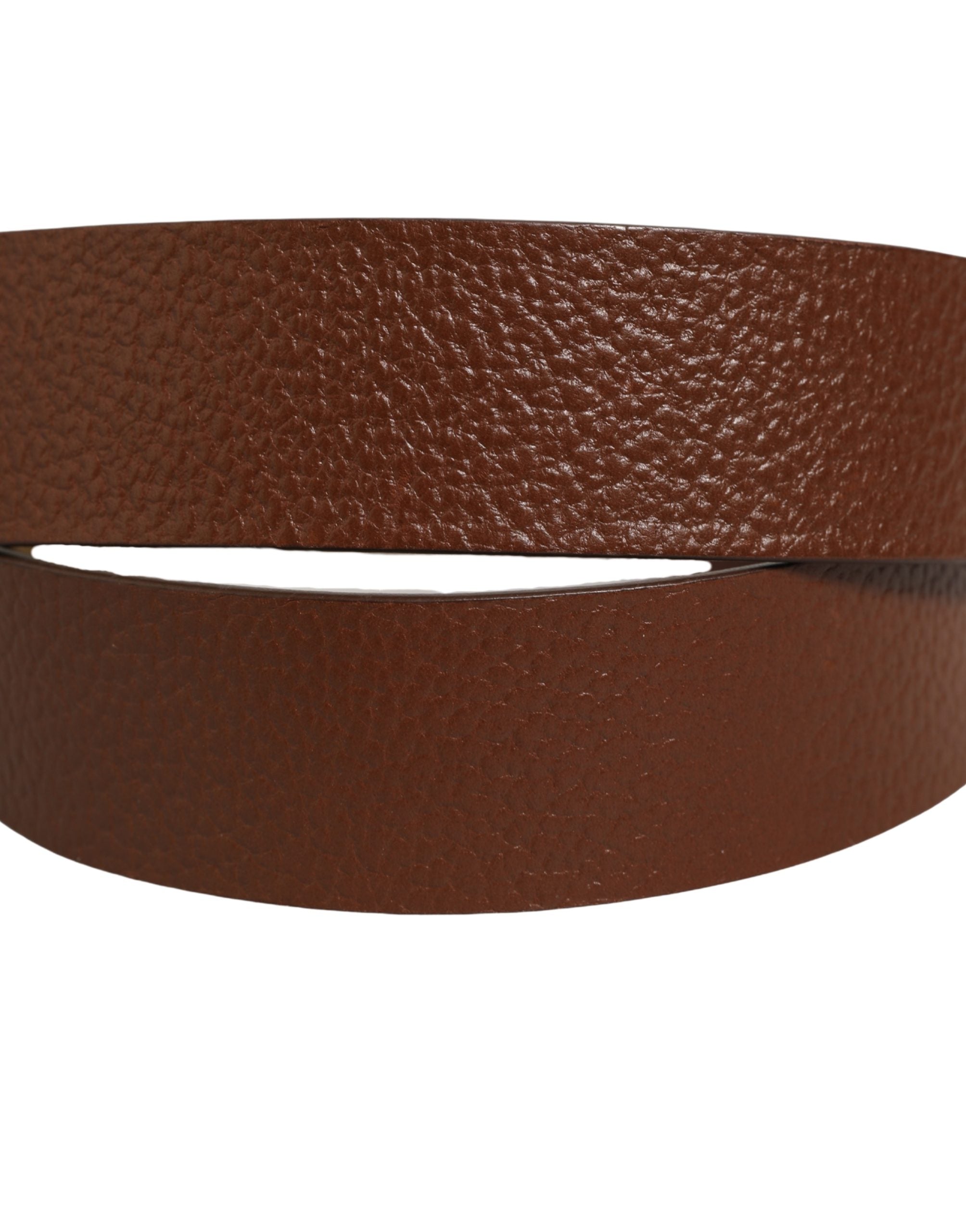 Dolce & Gabbana Brown Leather Bee Accent Belt - Timeless Luxury