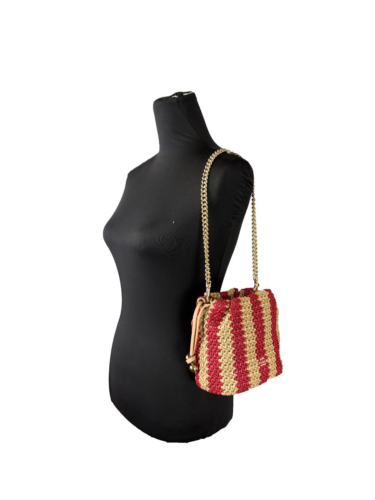 COACH Coach Faye Mini Drawstring Crossbody Bag