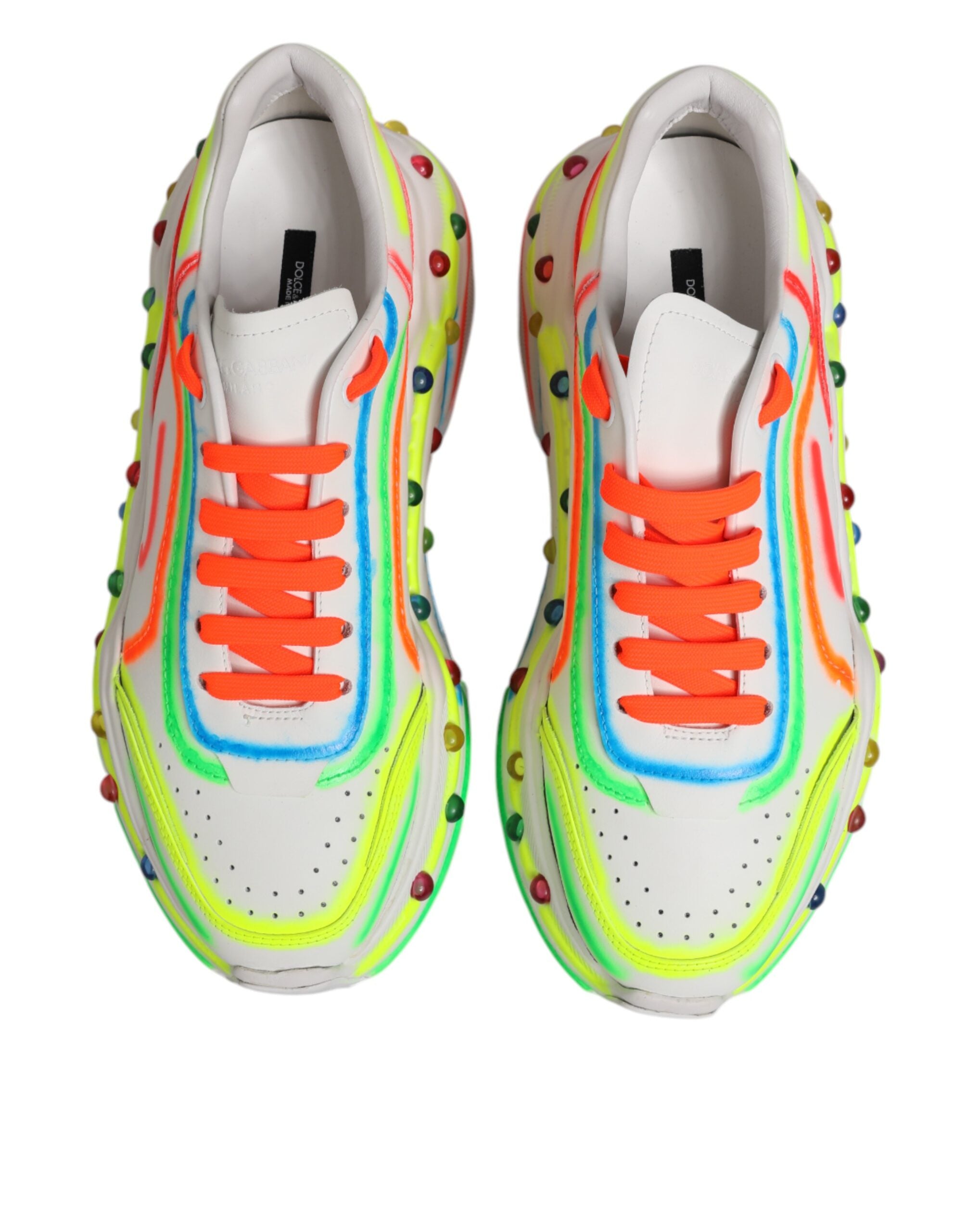 Sneakers basses Daymaster multicolores Dolce &amp; Gabbana